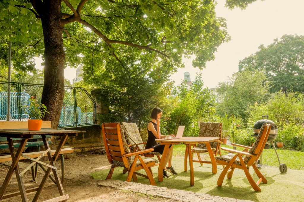 Baobab Coworking Oasis Budapest